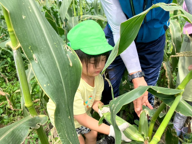 汗、きらり。