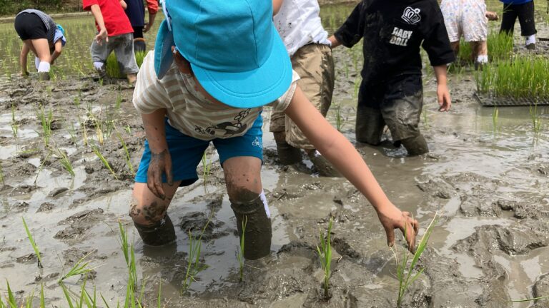 【05くじら】田植えの様子