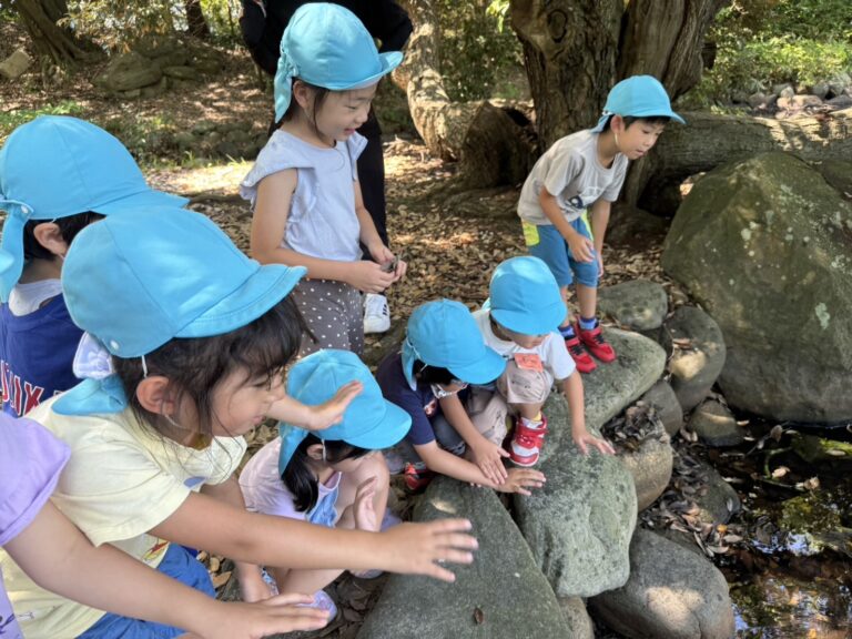 【05くじら】カエルとのお別れ🐸